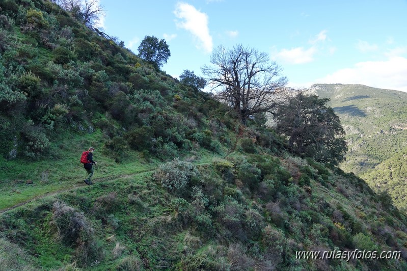 Sendero Río de los Horcajos