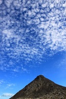 IMG_2293