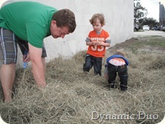 DSCF1576 DSCF1576