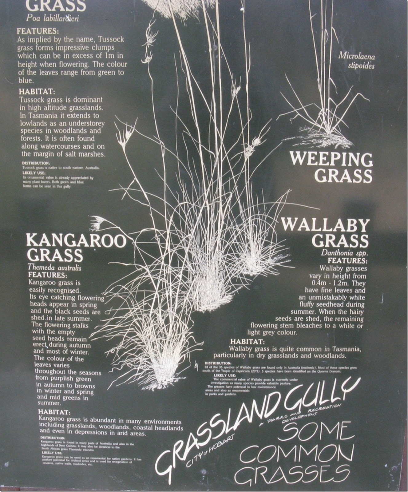 Grassland Gully Sign v2