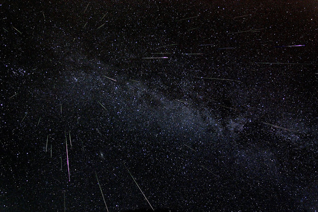 Perseids