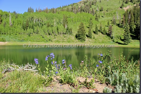 IMG_4455 - Copy IMG_4455 - Copy