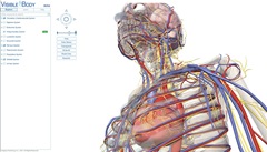 visiblebody2