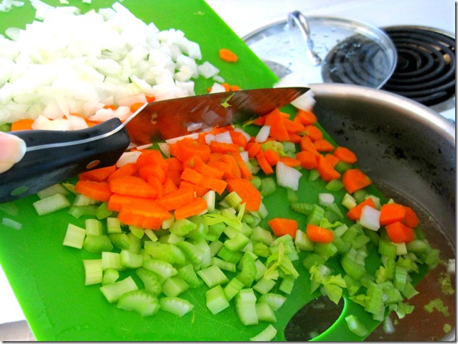 chicken and dumplings 4