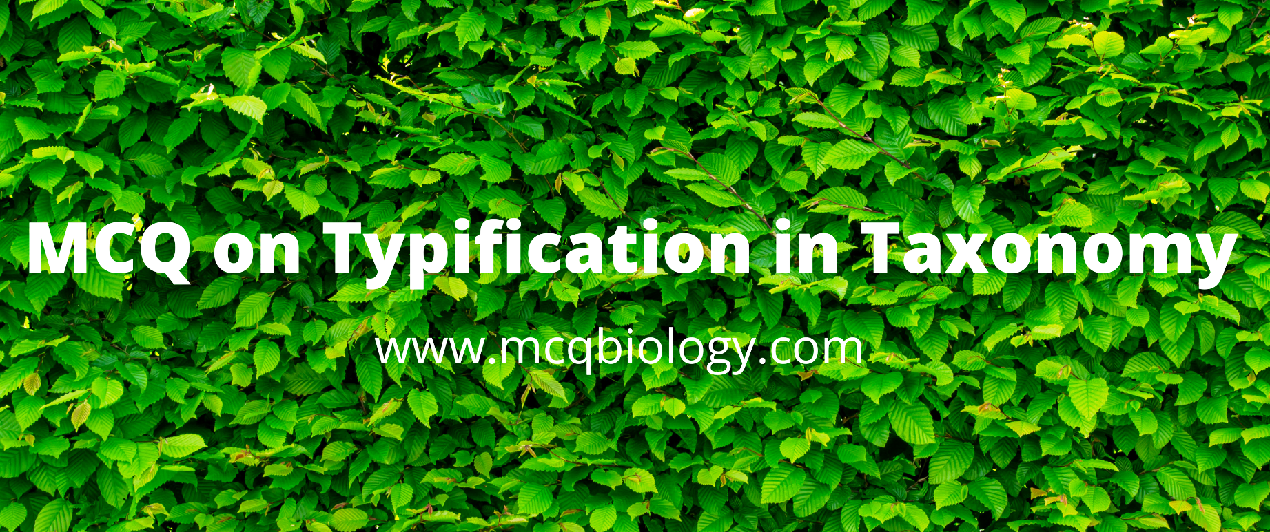 MCQ on Typification in Taxonomy
