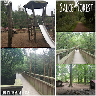 Parks and Playgrounds in Northamptonshire - Salcey Forest