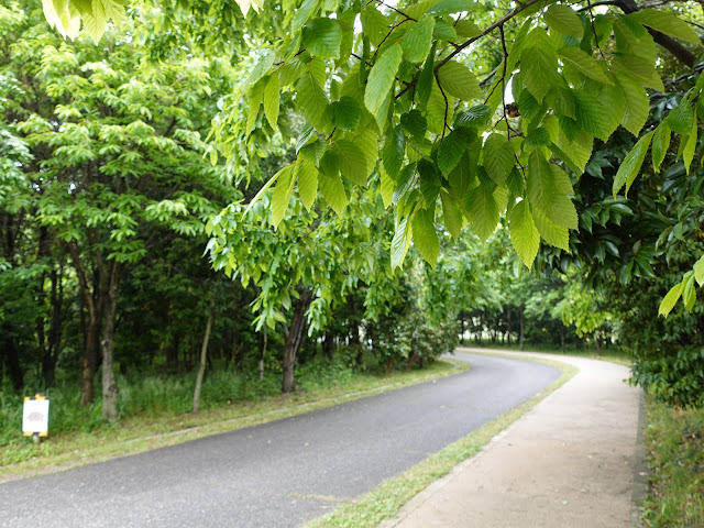 鳥取県西伯郡大山町妻木 鳥取県立むきばんだ史跡公園　弥生のムラ入り口