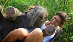 Funny animals of the week - 5 April 2014 (40 pics), baby elephant snuggling with woman