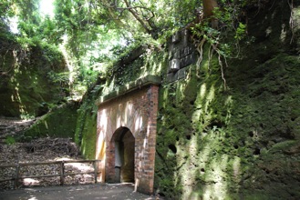DSC 0261