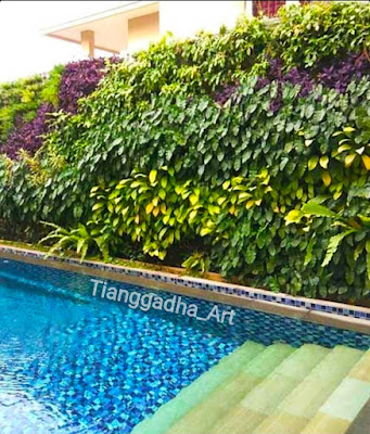 tukang taman vertikal garden dan jasa vertical garden tianggadha art