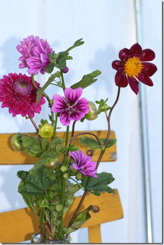 bloggebilder 007