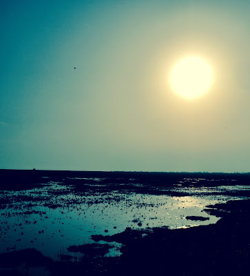 Blue tinged sunset at Welwick East Yorkshire by Jill Webb