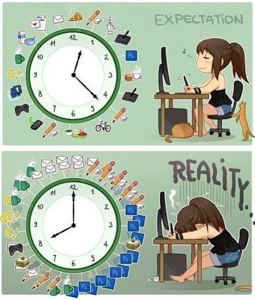 Daily program between expectation and reality