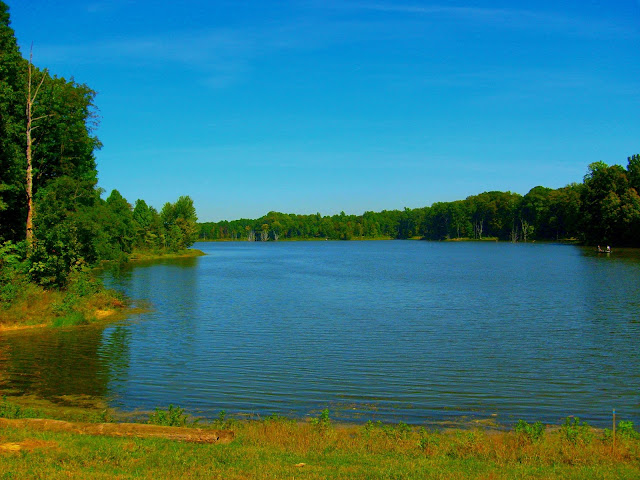 Big Oaks National Wildlife Refuge - Old Timbers Lake