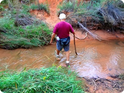 paul crossing stream