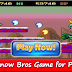 Snow Bros Game for PC | Free Download