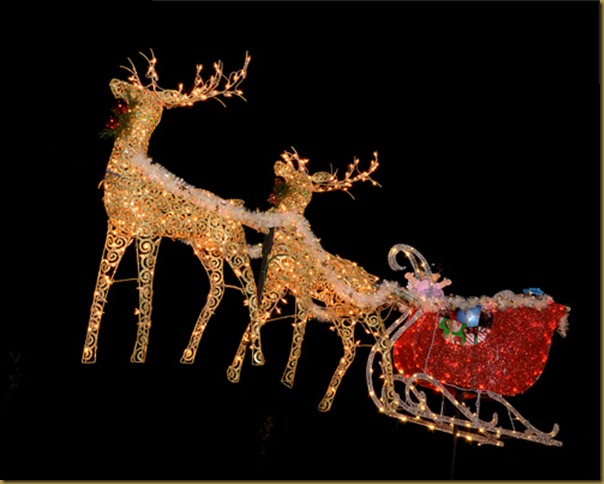 R-Deer_Sleigh_DSC-1979_5x4-100