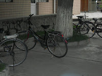 Bicycles are still a popular mode of transport