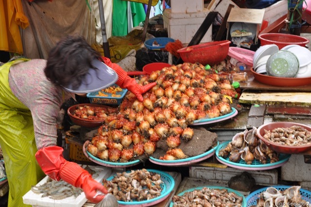 Jagalchi Fish Market in Busan