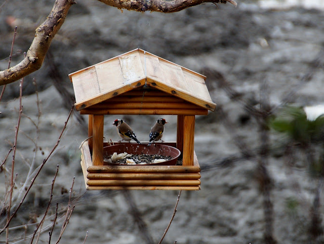 karmnik dla ptaków drewniany