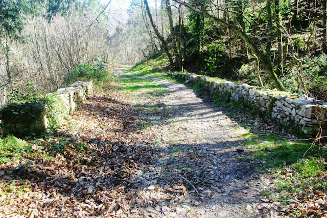 El camino a su paso por el puente de Borra, construcción de los siglos XVII-XVIII