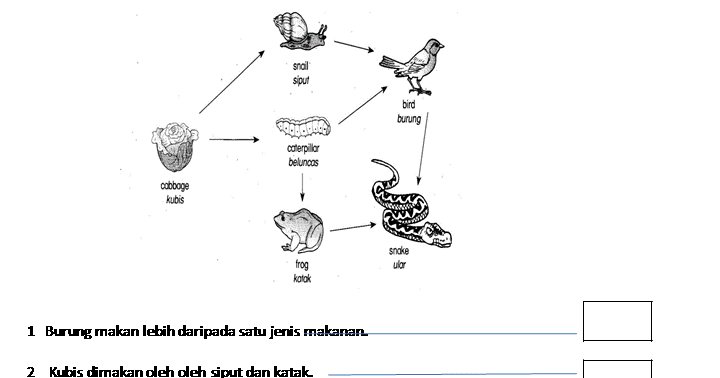 Soalan Sains Tahun 5 Siratan Makanan - Terengganu s