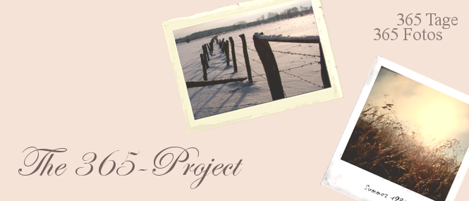 The 365-Project