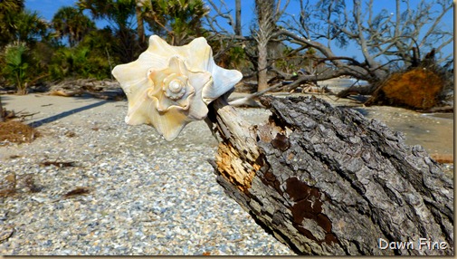 Botany Bay and the Boneyard_046