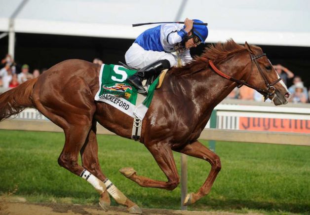 Shackleford, ridden by Jesus Castanon, crosses the finish line to win the 36th Preakness Stakes horse race at Pimlico Race Course, Saturday, May 21, 2011, in Baltimore