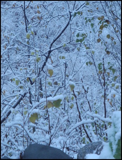 winter02