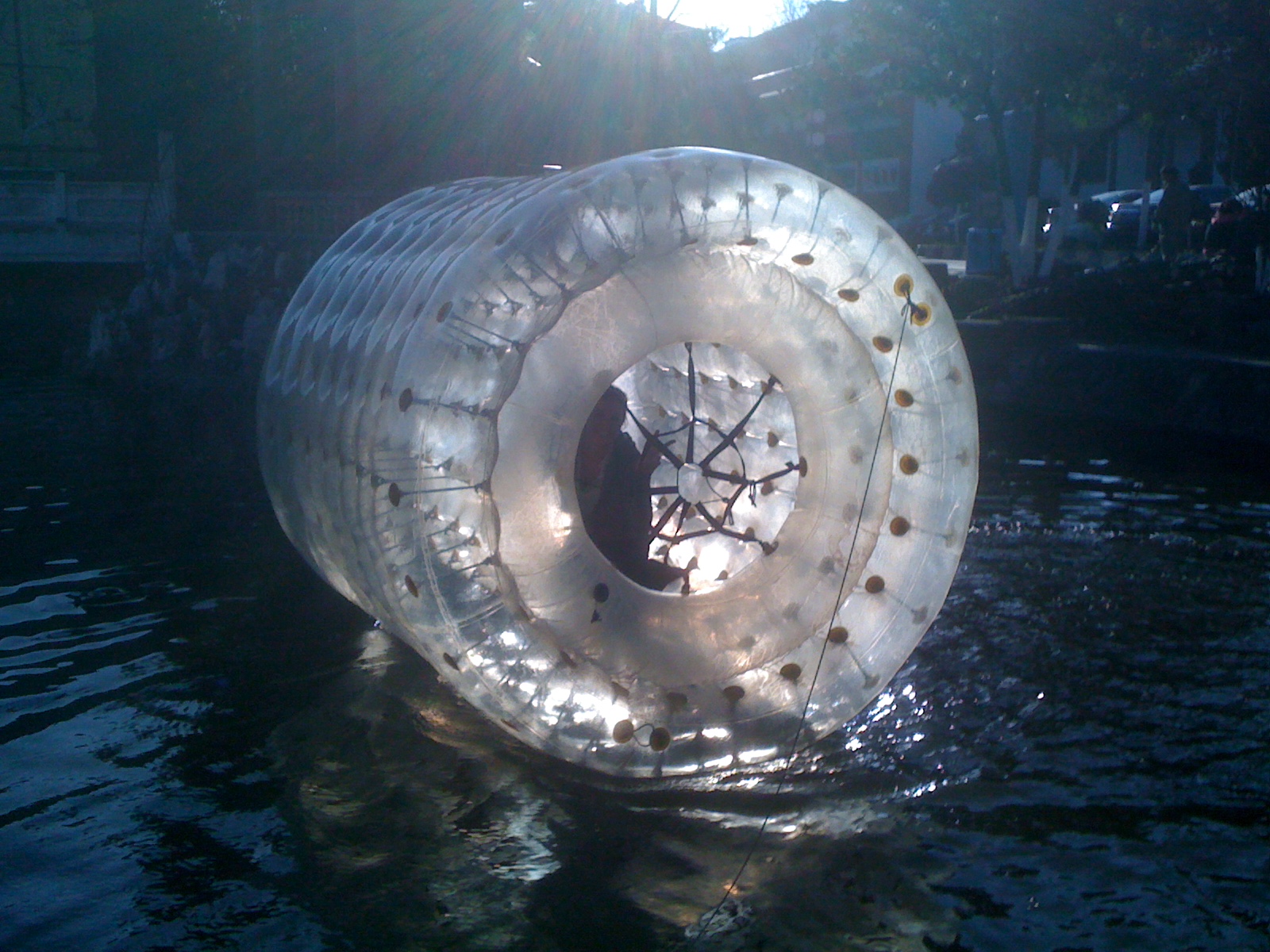 Goofing Around In An Inflatable Hamster Wheel Running Around Inside