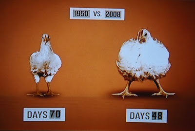 animated chickens in Food Inc