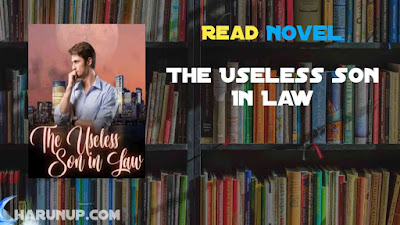 Read The Useless Son In Law Novel Full Episode