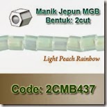 2CMB437 copy
