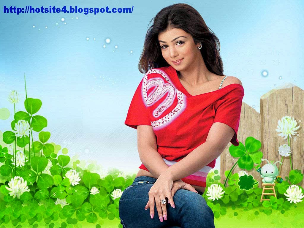 Ayesha Takia Bollywood Actress Hot Wallpaper - Bollywood Actress ...