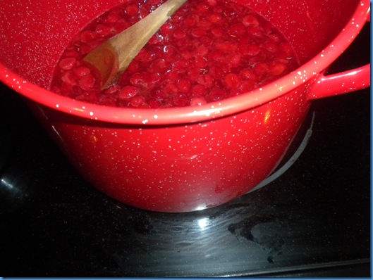 DSCN1489
