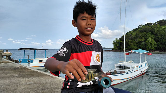 Hasil tangkapan anak Karimunjawa di pelabuhan