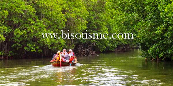 Meresapi Indahnya Ekowisata Mangrove Sunge Jingkem Sembilangan