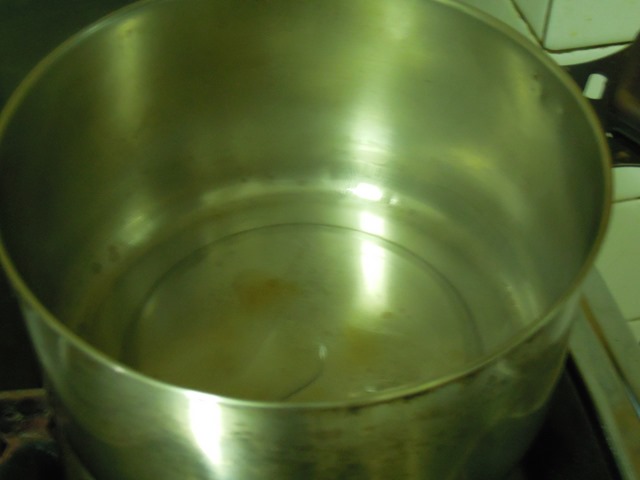 DSCN7598