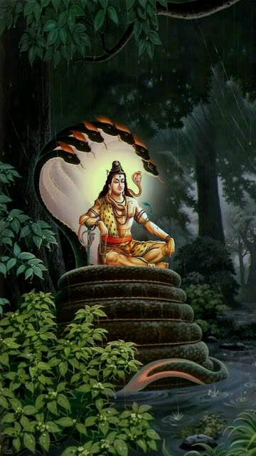 Lord Shiva HD Mobile Wallpaper