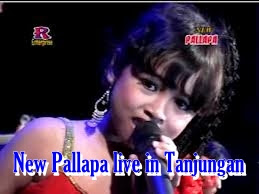 Aku Terjatuh - Yulia Rahman (New Pallapa live in Tanjungan).mp3  alay - vivi rosalita (new pallapa live in tanjungan).mp3  Andai Aku Gayus Tambunan - Brodin (New Pallapa live in Tanjungan).mp3  Bara Cinta - Lilin Herlina (New Pallapa live in Tanjungan).mp3  cincin kawin - vivi rosalita (new pallapa live in tanjungan).mp3  Dua Cincin - Iyut Nuraini (New Pallapa live in Tanjungan).mp3  Dua Kursi - Lilin Herlina (New Pallapa live in Tanjungan).mp3  gerajagan banyuwangi - dian marshanda (new pallapa live in tanjungan).mp3  kaulah segalanya - dwi ratna (new pallapa live in tanjungan).mp3  perpisahan - dian marshanda (new pallapa live in tanjungan).mp3  sakit hati - elfa safira (new pallapa live in tanjungan).mp3  terpaksa - soliq irwansyah (new pallapa live in tanjungan).mp3 