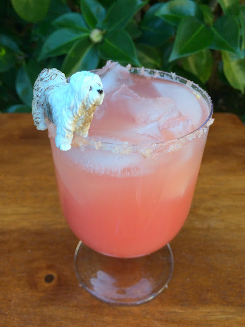 Salty Dog Cocktail Ideas | www.jacolynmurphy.com