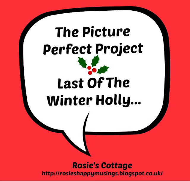 The Picture Perfect Project 