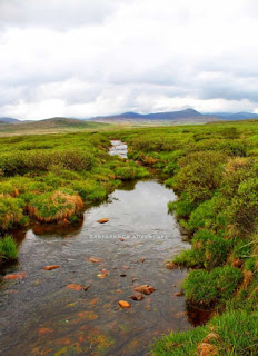 Deosai is the beauty of Gilgit-Baltistan known as ( Deosai National Park)