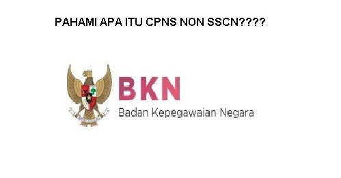 Lowongan Kerja Ingat, Khusus Peserta CPNS Instansi Non April 2024