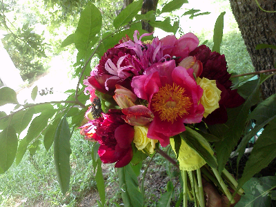 The Blooming Bride, DFW, Fort Worth, Texas, Wedding Flowers