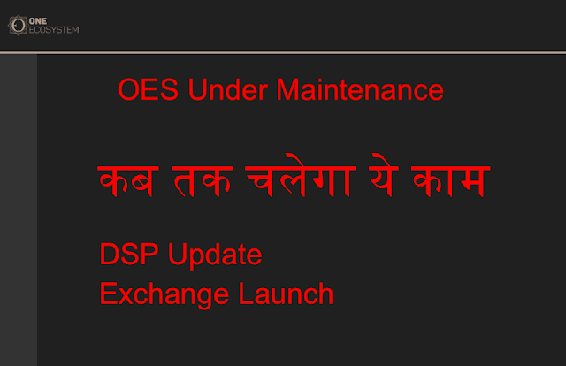 OES Website Maintenance DSP Launching Update 
