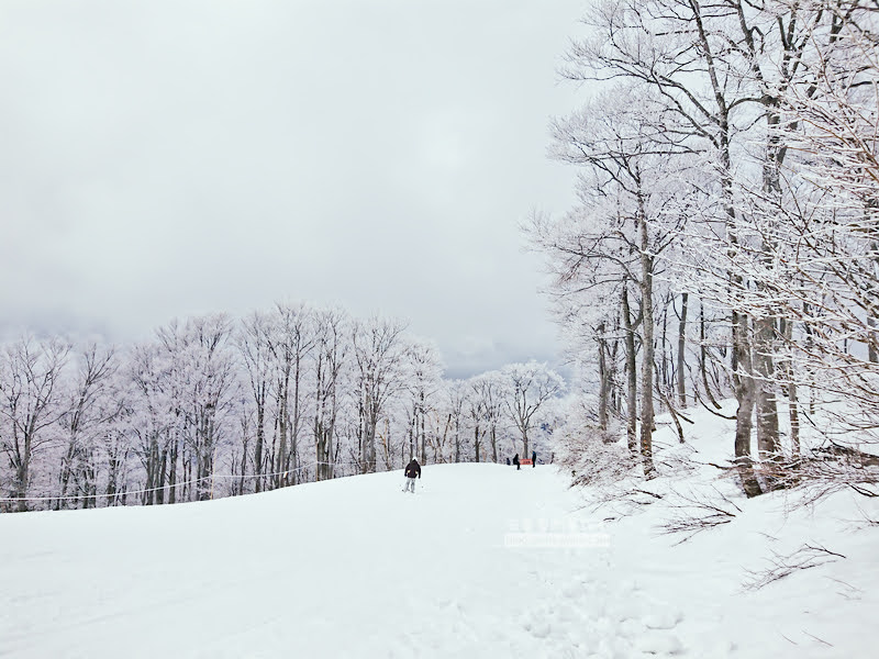 ski jam勝山,西日本滑雪場