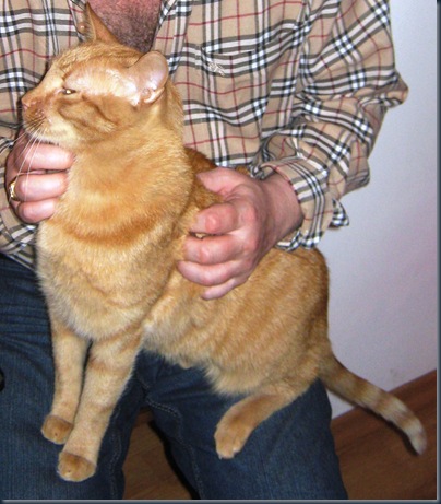 Tigger2