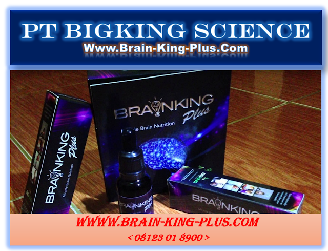 http://www.brain-king-plus.com/